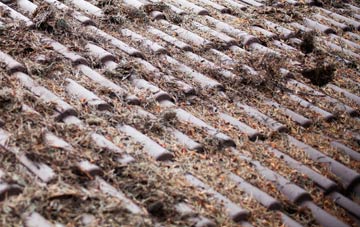 Beckermonds roof cleaning companies